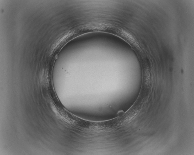 X0000067830538200604131203