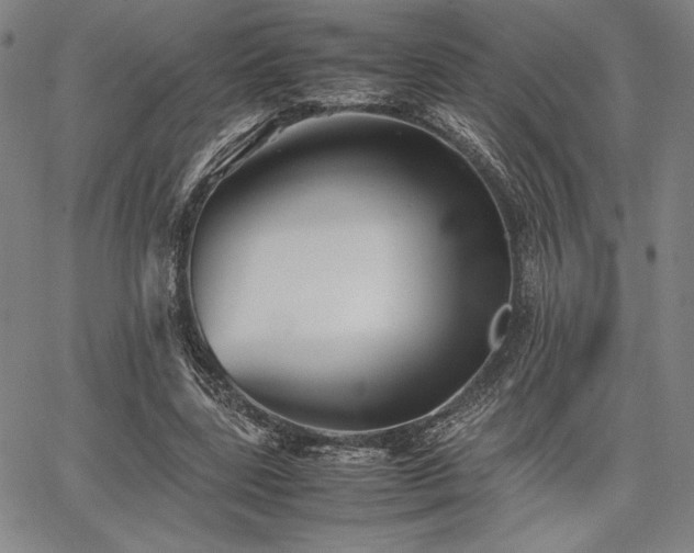 X0000067830539200604131203