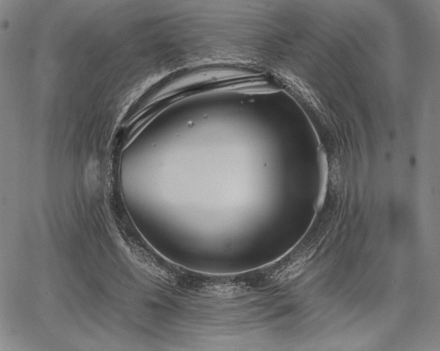 X0000067830540200604131203