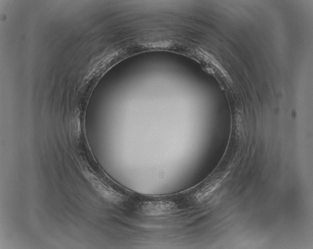 X0000067830541200604131203