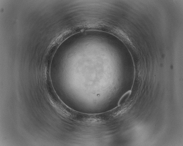 X0000067830542200604131203