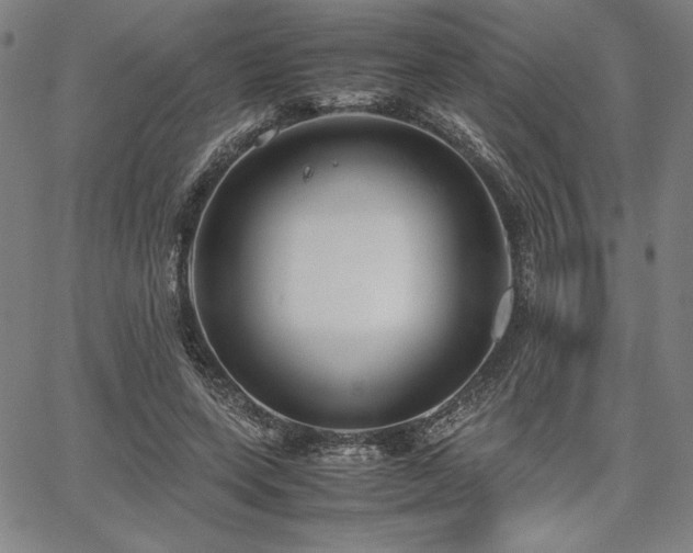 X0000067830543200604131203