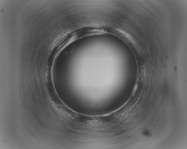 X0000067830544200604131203