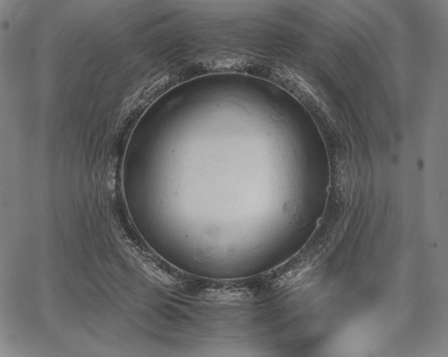 X0000067830545200604131203