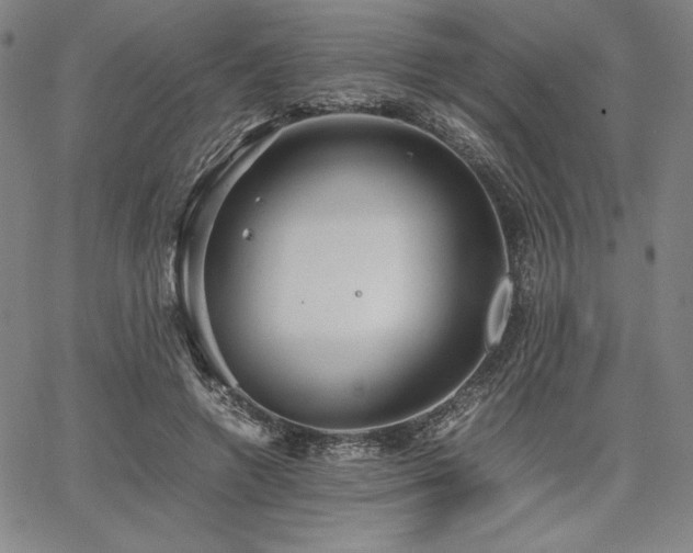 X0000067830546200604131203