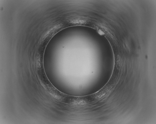 X0000067830547200604131203