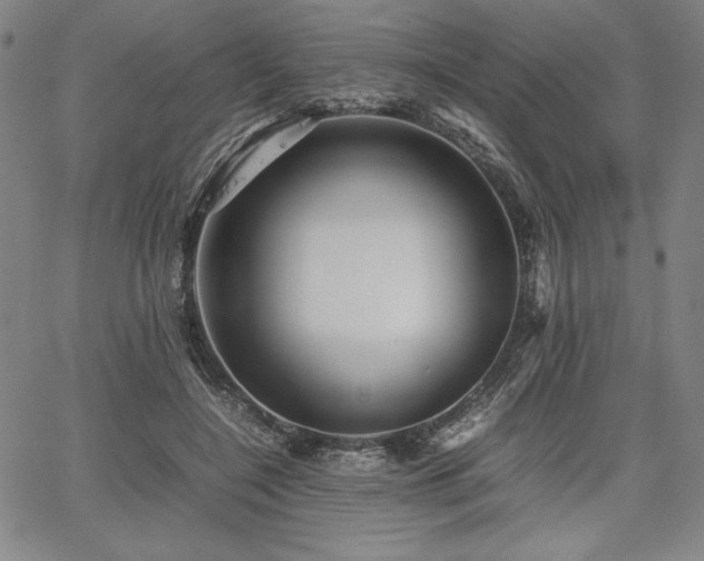 X0000067830548200604131203