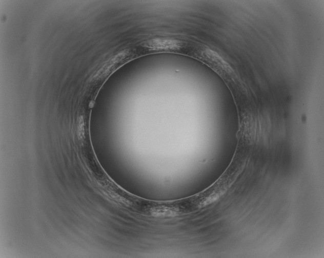 X0000067830549200604131203