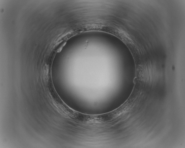 X0000067830550200604131203