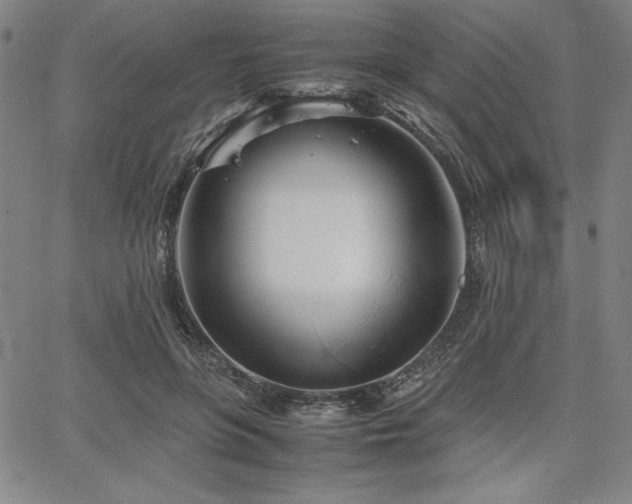 X0000067830551200604131203