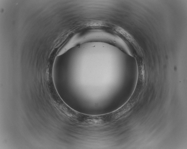 X0000067830552200604131203