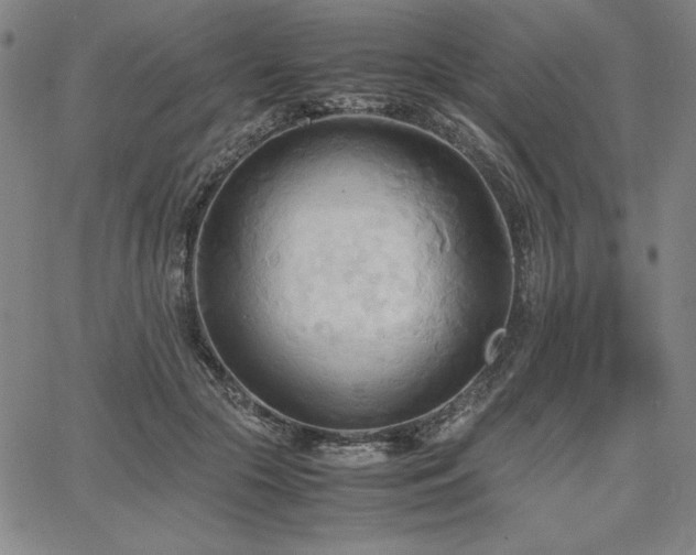 X0000067830553200604131203