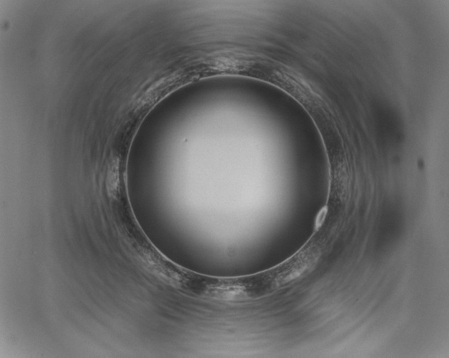 X0000067830554200604131203