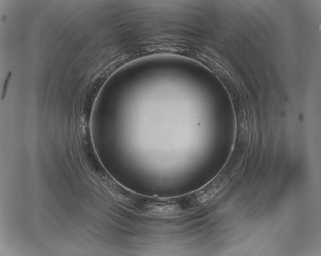 X0000067830555200604131203