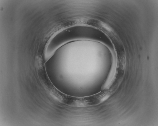 X0000067830556200604131203