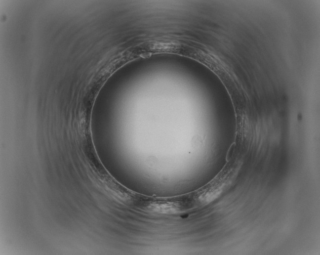 X0000067830557200604131204