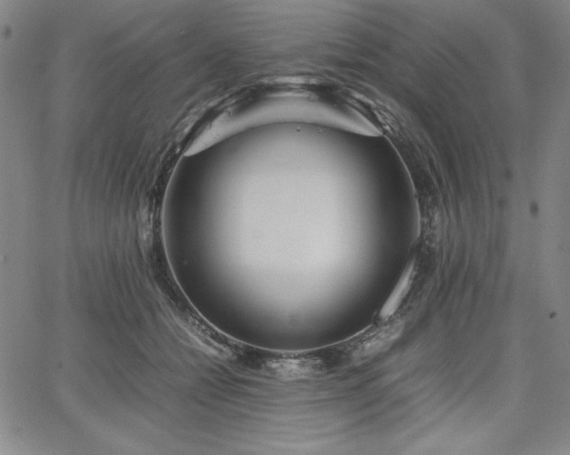 X0000067830558200604131204