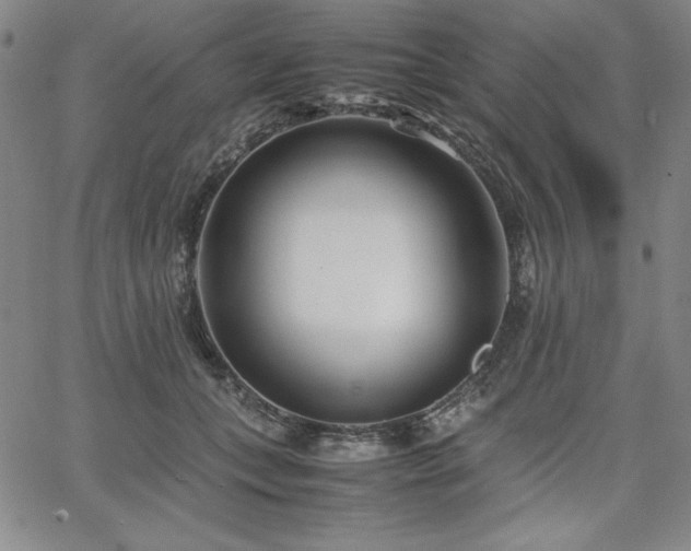 X0000067830559200604131204