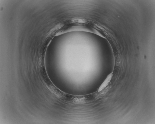 X0000067830560200604131204