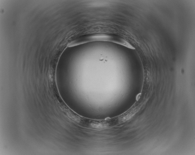 X0000067830561200604131204