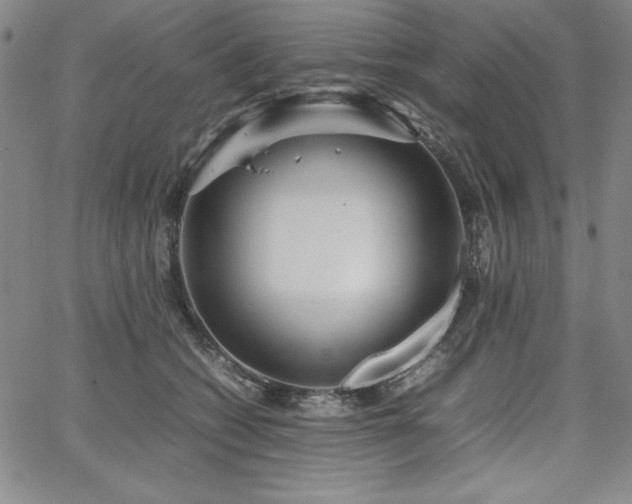 X0000067830562200604131204