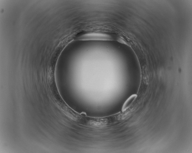 X0000067830563200604131204