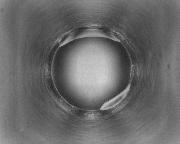 X0000067830564200604131204