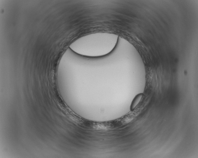 X0000067830565200604131204