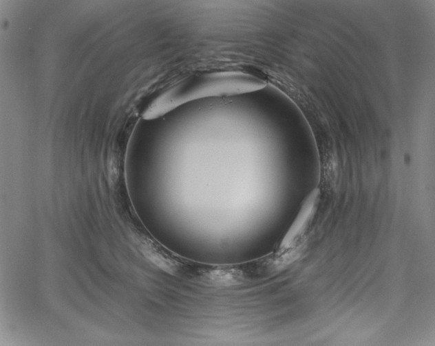 X0000067830566200604131204