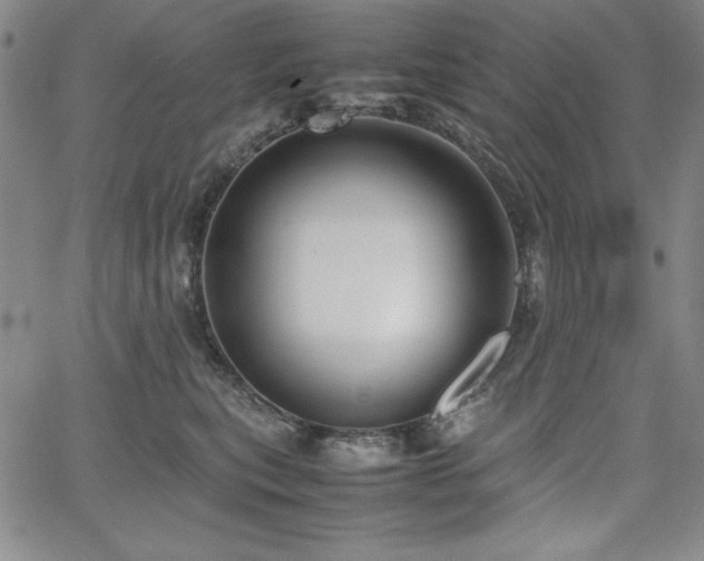 X0000067830567200604131204