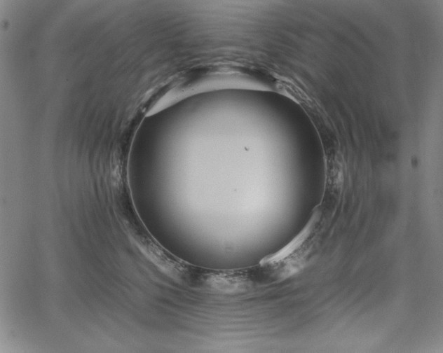 X0000067830568200604131204