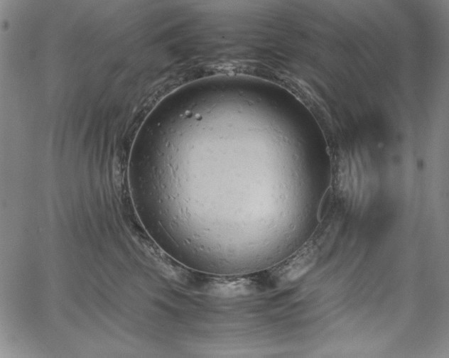 X0000067830569200604131204