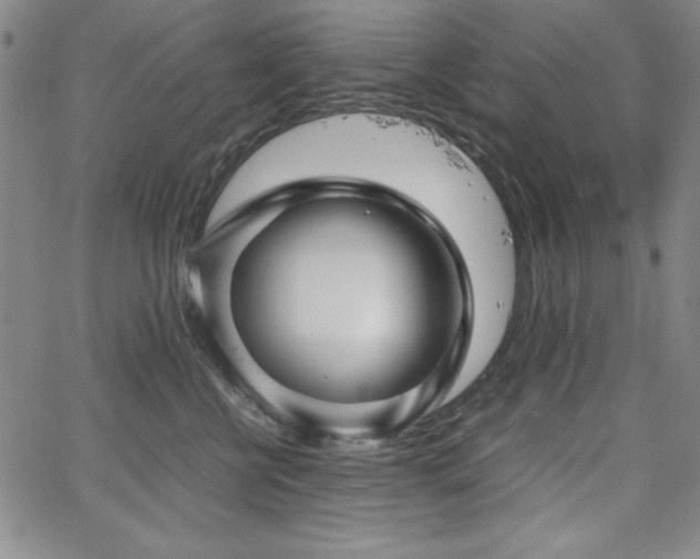 X0000067830570200604131204