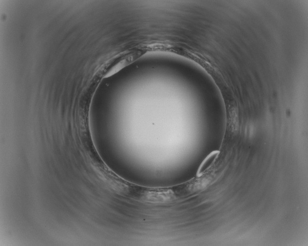 X0000067830571200604131204