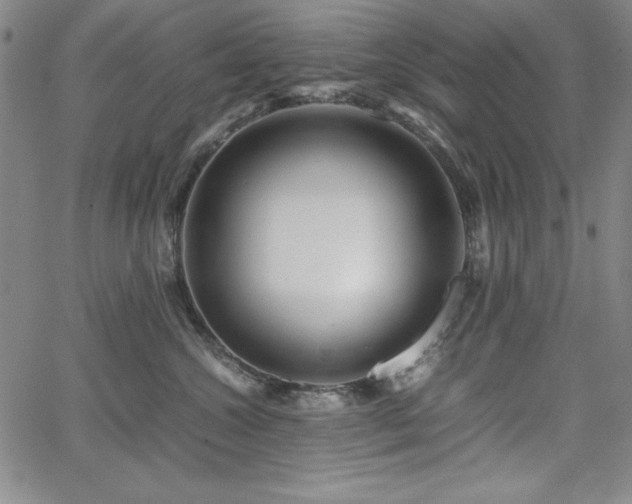 X0000067830572200604131204