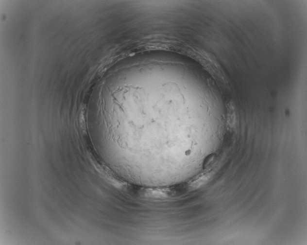 X0000067830573200604131204