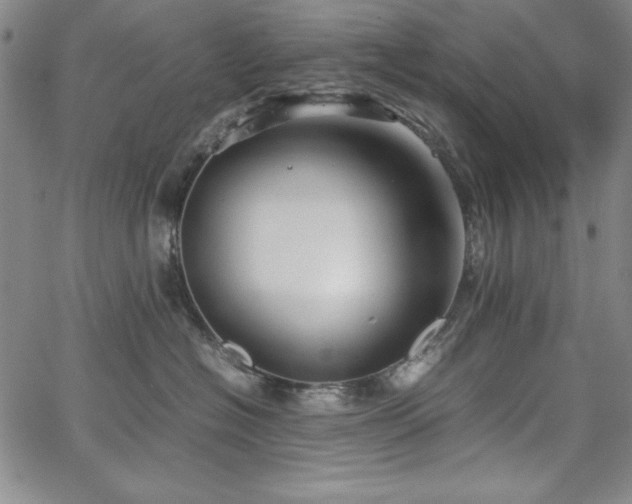 X0000067830574200604131204