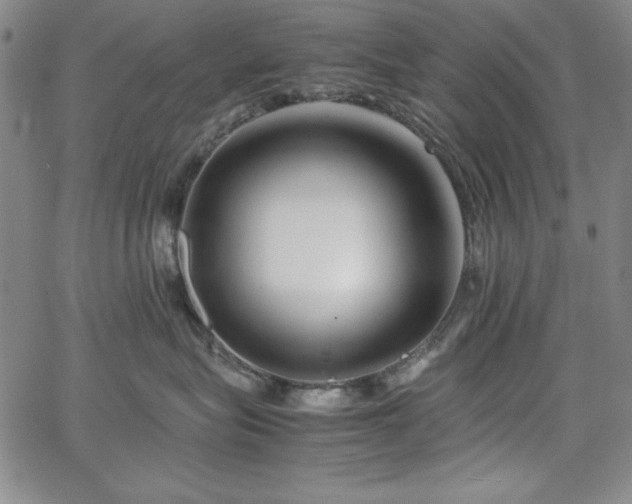 X0000067830575200604131204