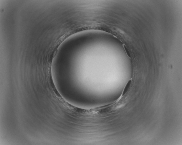 X0000067830576200604131204