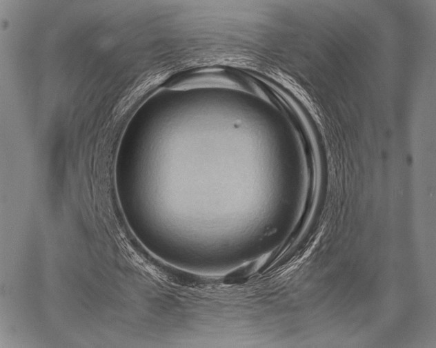 X0000067830577200604131203