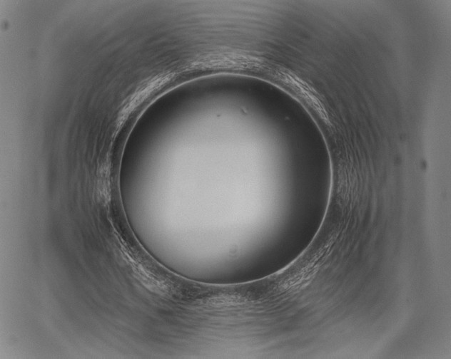 X0000067830578200604131203