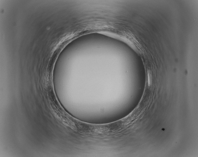 X0000067830579200604131203