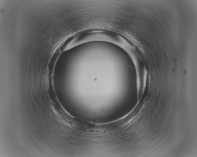 X0000067830580200604131203