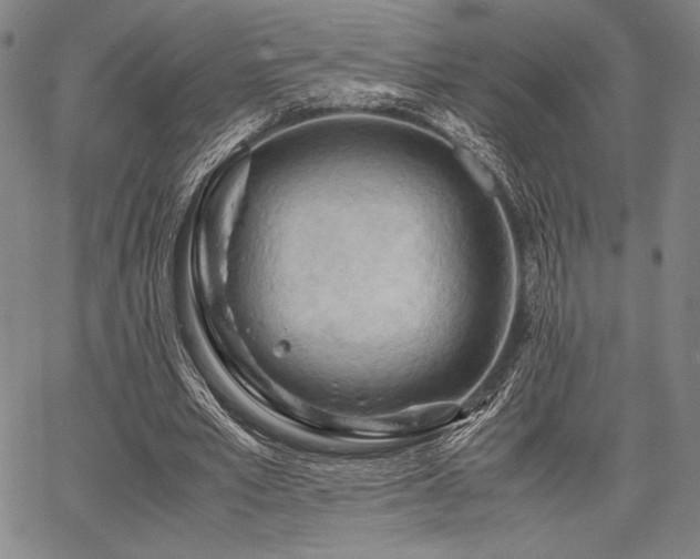 X0000067830581200604131203