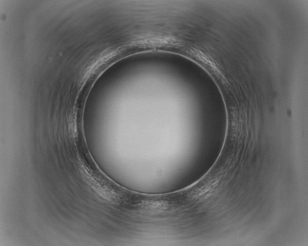 X0000067830582200604131203