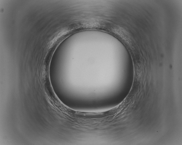 X0000067830583200604131203