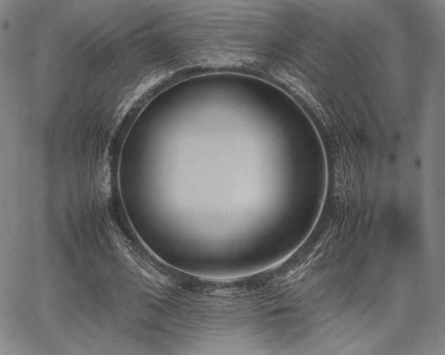 X0000067830584200604131203