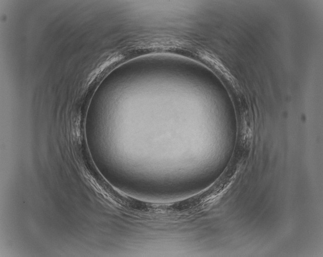 X0000067830585200604131203