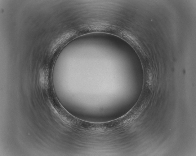 X0000067830586200604131203