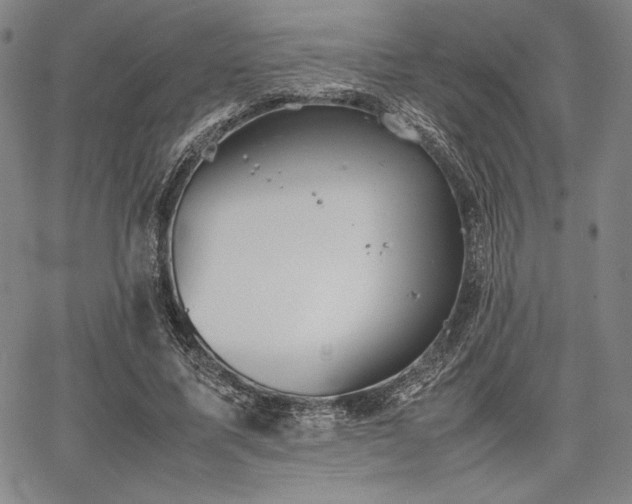 X0000067830587200604131203